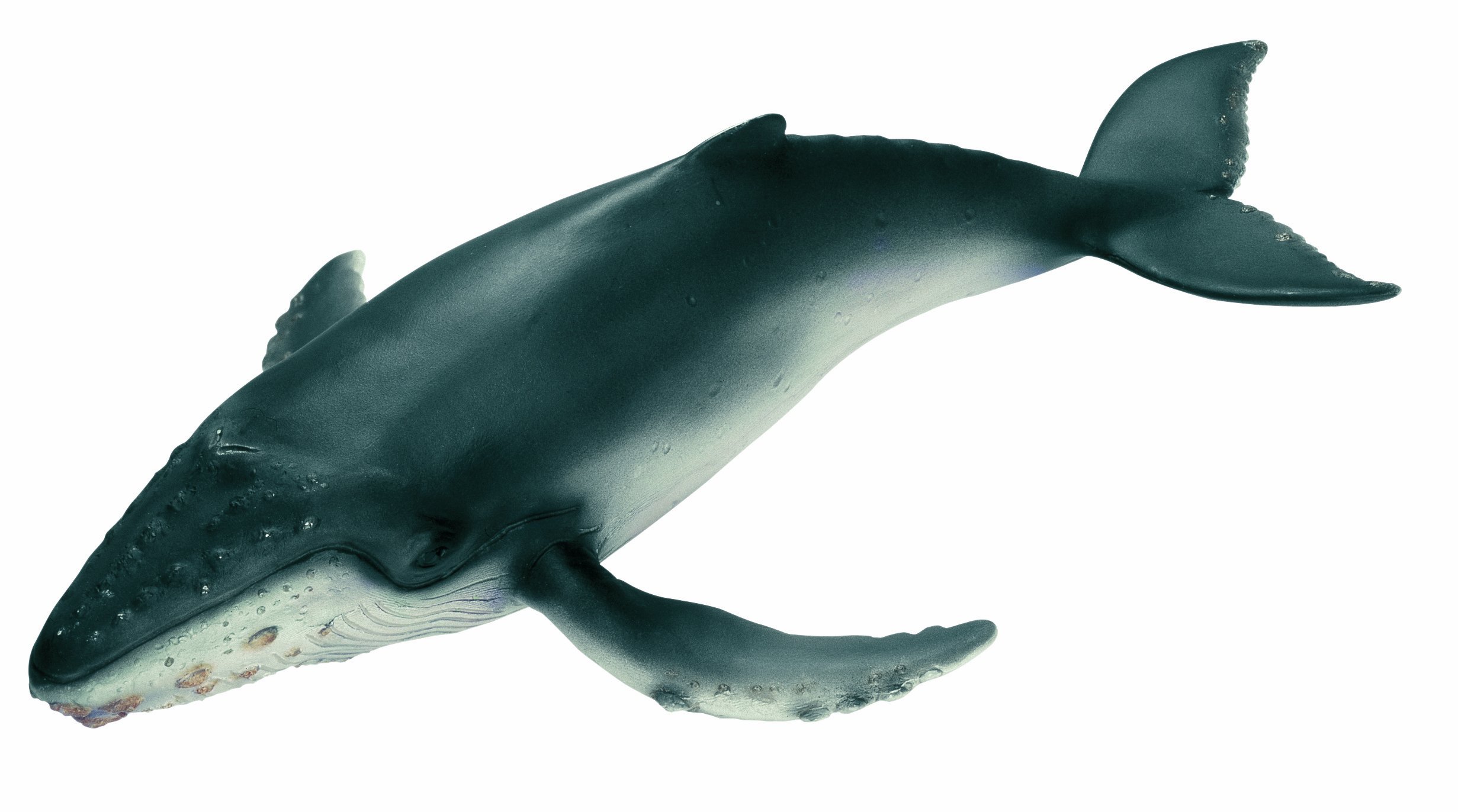 Schleich Wildlife humpback whale (calf) figure 16093